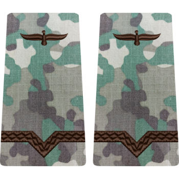 GRADE COMBAT TERESTRU MAISTRU MILITAR CLASA 5 Aviația Română (Forțele Aeriene )